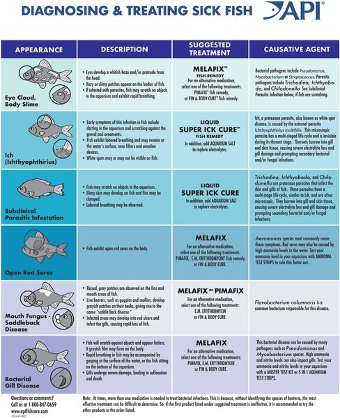 API Melafix Freshwater Fish Bacterial Infection Remedy