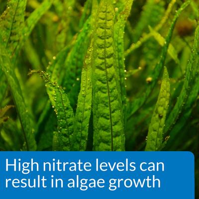 Show full view: API Nitrate NO3 Freshwater & Saltwater Aquarium Test Kit, 90 count slide 6 of 10