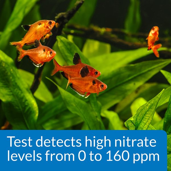 API Nitrite Test Kit - Freshwater/Saltwater - Aquarium Reefers