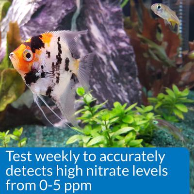 Show full view: API Nitrite NO2 Fresh & Salt Water Aquarium Test Kit, 180 count slide 5 of 9