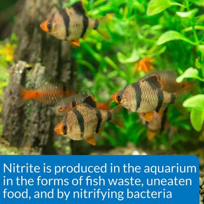 Show full view: API Nitrite NO2 Fresh & Salt Water Aquarium Test Kit, 180 count slide 6 of 9