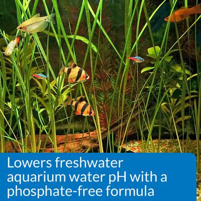 Show full view: API pH Down Freshwater Aquarium Water Treatment, 1.25-oz bottle slide 4 of 9