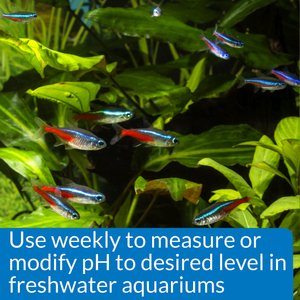 API pH Freshwater Aquarium Test & Adjuster Kit, 250 count