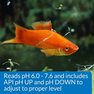 API pH Freshwater Aquarium Test & Adjuster Kit, 250 count