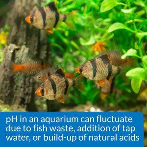 API pH Freshwater Aquarium Test & Adjuster Kit, 250 count