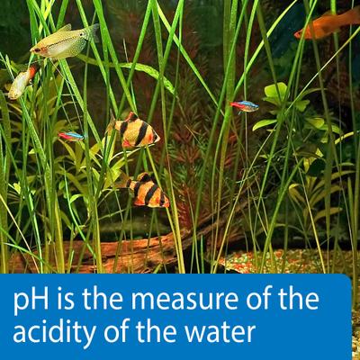 Show full view: API pH Freshwater & Saltwater Aquarium Test Strips, 25 count slide 4 of 6