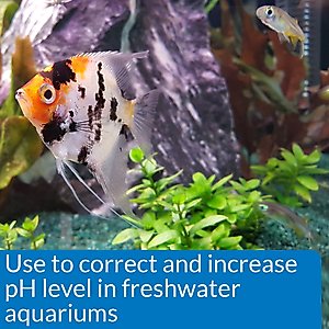 API pH Up Freshwater Aquarium Water Treatment, 16-oz bottle