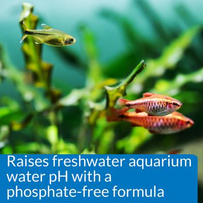 Show full view: API pH Up Freshwater Aquarium Water Treatment, 16-oz bottle slide 4 of 9