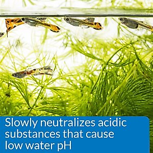 API pH Up Freshwater Aquarium Water Treatment, 16-oz bottle
