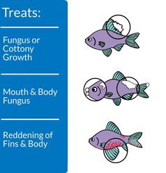 API Pimafix Freshwater & Saltwater Fish Fungal Infection Remedy, 64-oz bottle slide 2 of 8