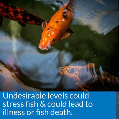 Show full view: API Pond 5-IN-1 Test Strips, 25 count slide 6 of 7