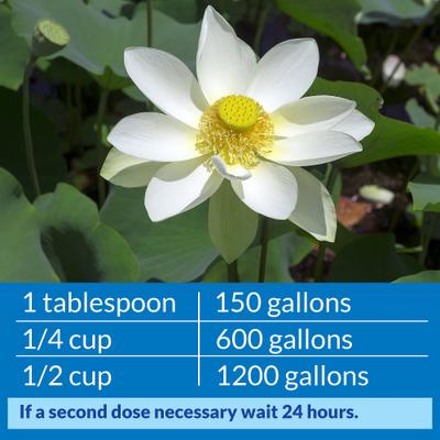 Show full view: API Pond Accu-Clear Clarifier, 1-gal bottle slide 5 of 9