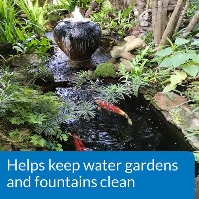 Show full view: API Pond Algaefix Algae Control Solution, 32-fl oz bottle slide 5 of 8