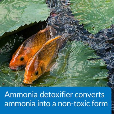Show full view: API Pond Ammo-Lock Pond Water Ammonia Detoxifier, 16-oz bottle slide 5 of 8