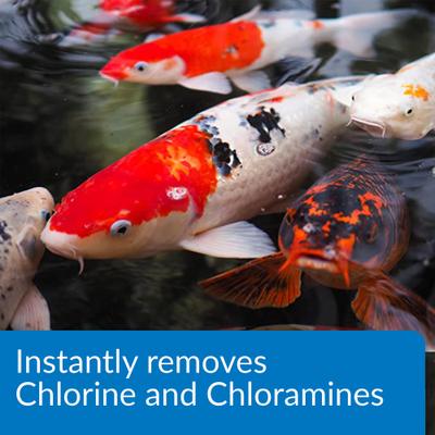 Show full view: API Pond Ammo-Lock Pond Water Ammonia Detoxifier, 64-oz bottle slide 4 of 8