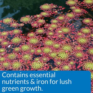 API Pond Aquatic Plant Food Tablets, 25 count