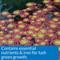 Show in main carousel: API Pond Aquatic Plant Food Tablets, 25 count slide 5 of 8