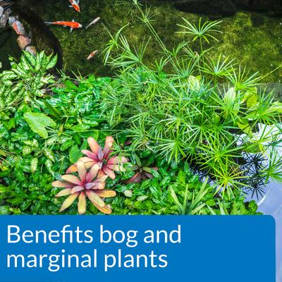 Show full view: API Pond Aquatic Plant Food Tablets, 25 count slide 6 of 8