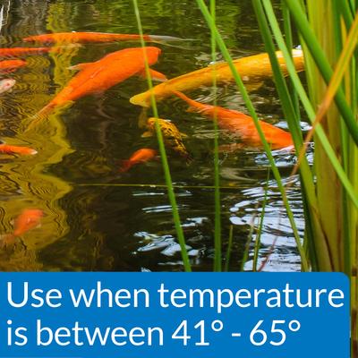 Show full view: API Pond Cool Water Koi & Goldfish Food, 1.4-lb bag slide 3 of 7