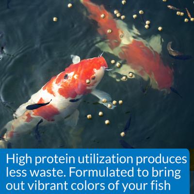 Show full view: API Pond Cool Water Koi & Goldfish Food, 1.4-lb bag slide 4 of 7