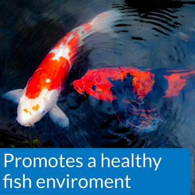 Show full view: API Pond Ecofix Sludge Destroyer Pond Water Clarifier & Sludge Remover, 64-fl oz bottle slide 4 of 8