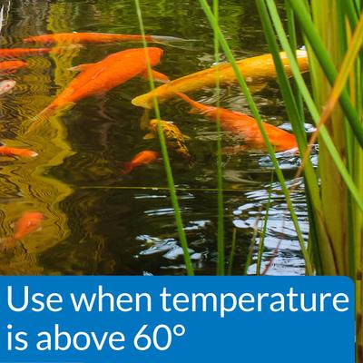 Show full view: API Pond Koi & Goldfish Food, 2.68-lb bag, bundle of 2 slide 3 of 6