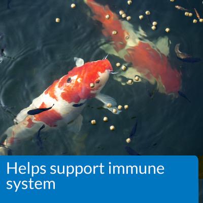 Show full view: API Pond Koi & Goldfish Food, 2.68-lb bag, bundle of 2 slide 4 of 6