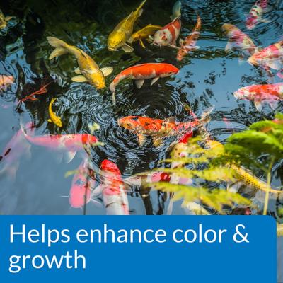 Show full view: API Pond Koi & Goldfish Food, 2.68-lb bag, bundle of 2 slide 5 of 6