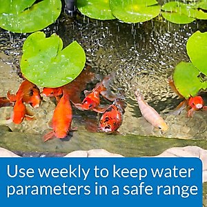 API Pond Master Test Kit, 500 count