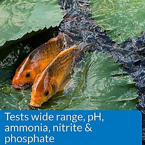 API Pond Master Test Kit, 500 count