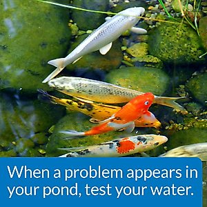 API Pond Master Test Kit, 500 count