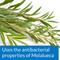 Show in main carousel: API Pond Melafix for Bacterial Infections in Fish, 64-fl oz bottle slide 5 of 9