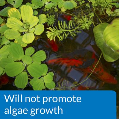 Show full view: API Pond pH Down Pond Water pH Reducing Solution, 16-oz bottle slide 4 of 6