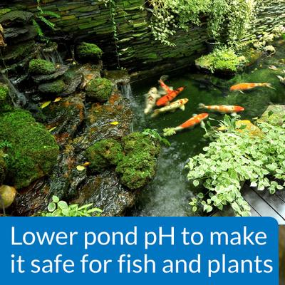 Show full view: API Pond pH Down Pond Water pH Reducing Solution, 16-oz bottle slide 5 of 6