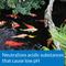 Show in main carousel: API Pond pH Up Pond Water pH Raising Solution, 16-oz bottle slide 4 of 6
