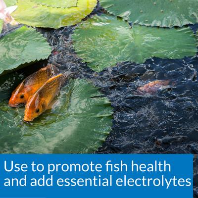 Show full view: API Pond Salt, 4.4-lb carton slide 5 of 9