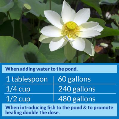 Show full view: API Pond Stress Coat Water Conditioner, 16-fl oz bottle slide 3 of 9