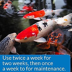 API Pondcare Microbial Algae Clean Green Water Biological Inhibitor, 16-fl oz bottle slide 2 of 5