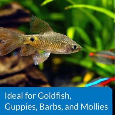 Show full view: API Proper pH 7.5 Aquarium Water Treatment, 9.2-oz bottle slide 5 of 7