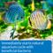 Show in main carousel: API Quick Start Freshwater & Saltwater Aquarium Nitrifying Bacteria, 32-fl oz bottle slide 3 of 6
