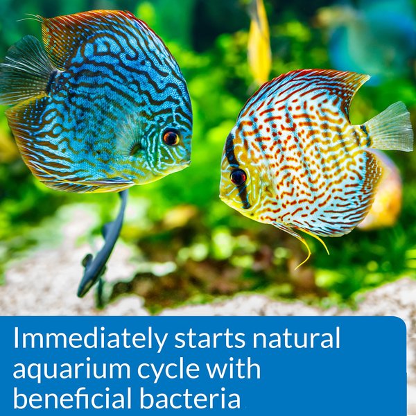 API Quick Start 32oz – Freshwater & Marine Aquarium Cycle Starter, Fast Bacteria, Safe For Fish