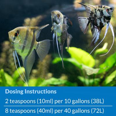 API Quick Start Freshwater & Saltwater Aquarium Water Treatment