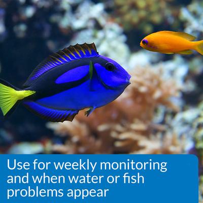 Show full view: API Saltwater Aquarium Master Test Kit, 550 count slide 5 of 9