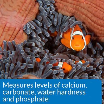 Show full view: API Saltwater Aquarium Master Test Kit, 550 count slide 6 of 9