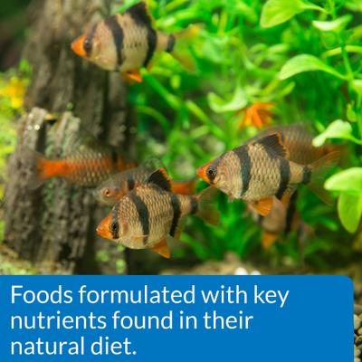 Show full view: API Sinking Mini Pellets Tropical Fish Food, 1.7-oz bottle slide 5 of 9