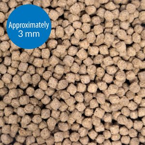 API Sinking Squid Pellets Bottom Feeder Fish Food, 7.9-oz bottle