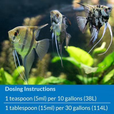 Show full view: API Stress Coat Aquarium Water Conditioner, 64-fl oz bottle slide 6 of 10