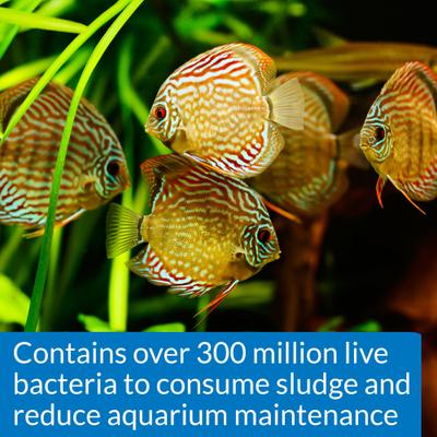 Show full view: API Stress Zyme Freshwater & Saltwater Aquarium Water Cleaner, 4-fl oz bottle slide 4 of 9