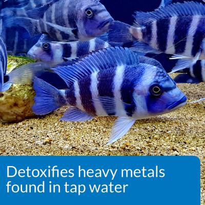 Show full view: API Tap Water Conditioner, 4-fl oz bottle slide 5 of 10