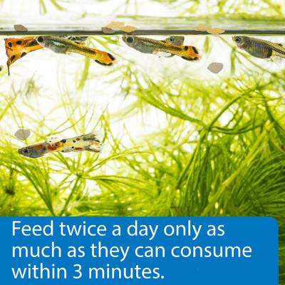 Show full view: API Tropical Greens Flakes Algae & Plant Eating Fish Food, 2.1-oz bottle slide 4 of 9